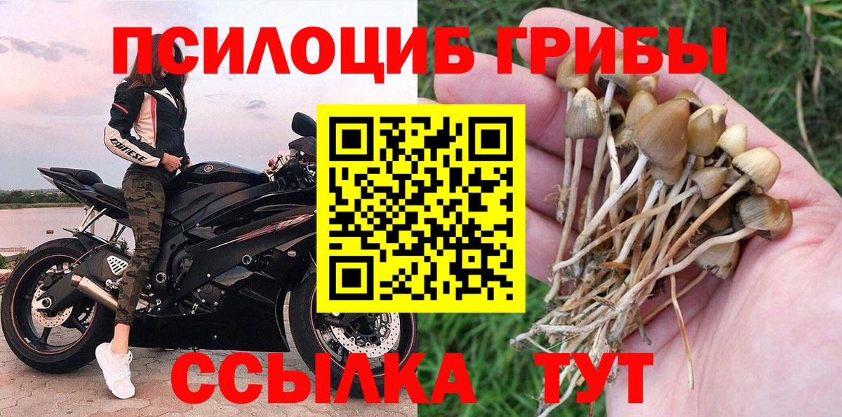 Ачхой-Мартан  Галлюциногенные грибы ЛСД  Вход с VPN  купить   Галлюциногенные грибы мухоморы 